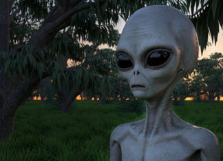 Os Greys de Zeta Reticuli, envolvidos em abduções na Terra, foram exterminados em seu planeta?