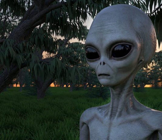 Os Greys de Zeta Reticuli, envolvidos em abduções na Terra, foram exterminados em seu planeta?