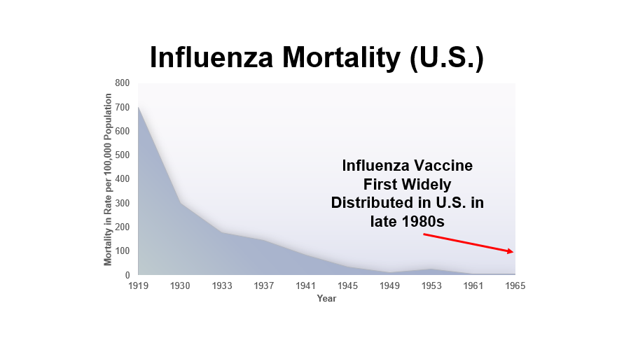 Eles mentiram: O declínio das doenças foi impulsionado pelas condições de vida, não pelas vacinas. 7