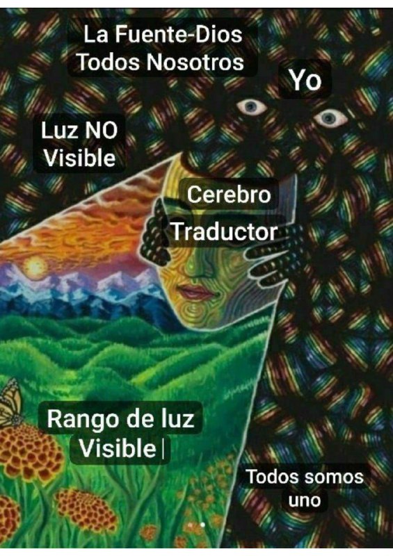 Como a alma se fragmenta para experimentar vários corpos. 4