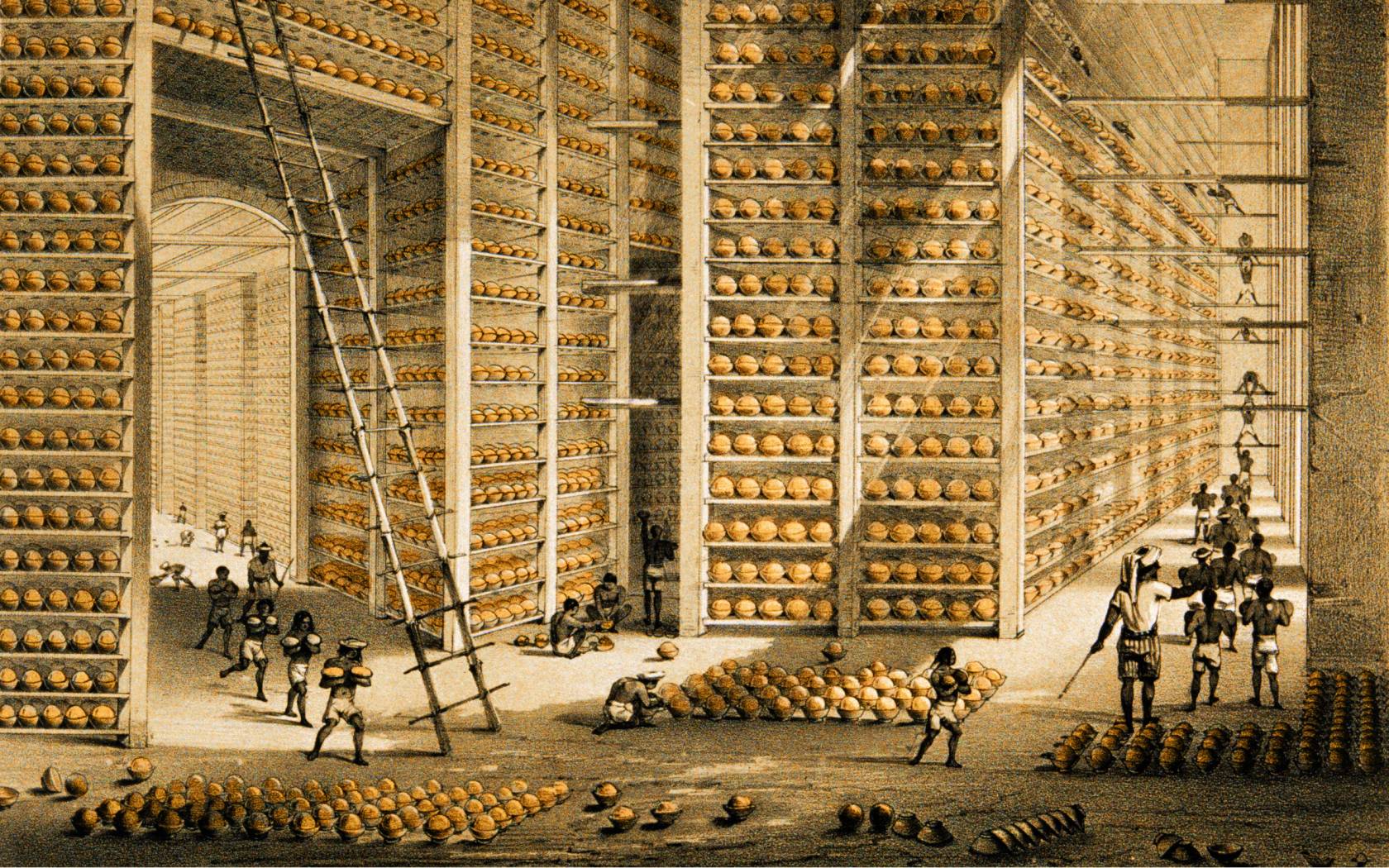 Ordem dos Advogados: A raiz do nosso judiciário corrupto e sem lei? 2