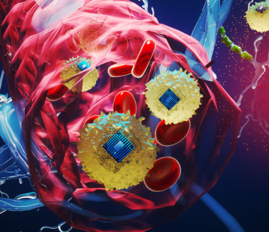 Pesquisadores do MIT criaram dispositivos eletrônicos sem fio microscópicos para controlar o cérebro.
