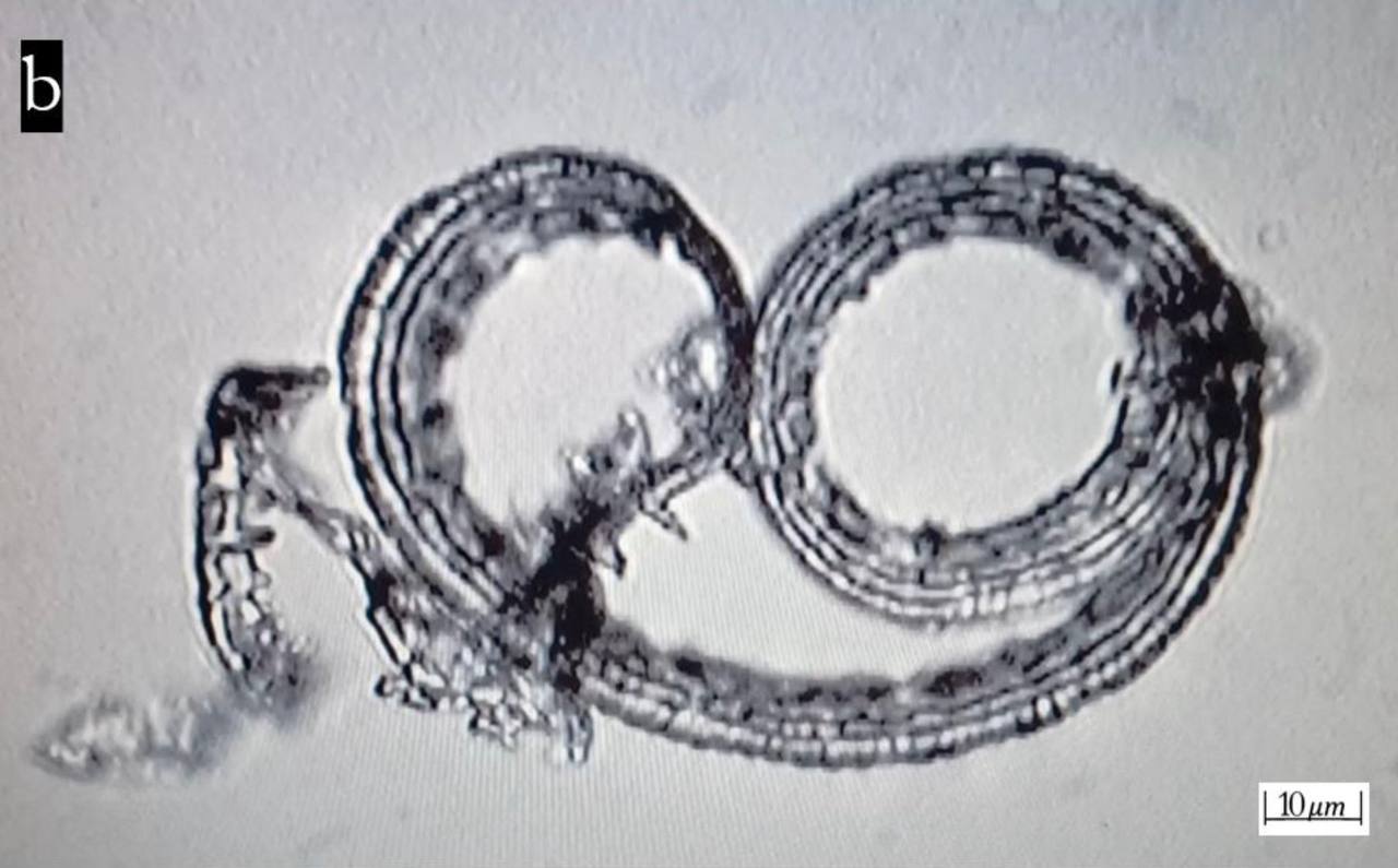 Pesquisadores do MIT criaram dispositivos eletrônicos sem fio microscópicos para controlar o cérebro. 3