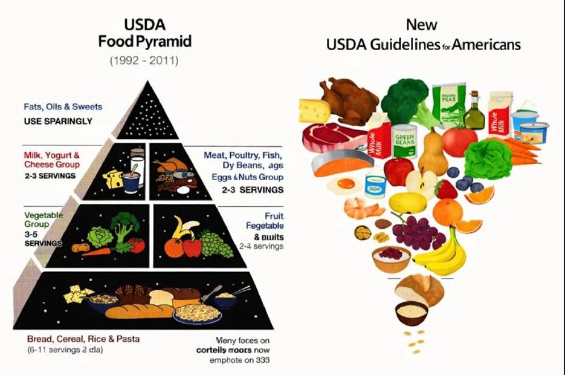 A carne é o rei: USDA divulga pirâmide alimentar atualizada e abandona conselhos corruptos da indústria alimentícia. 2