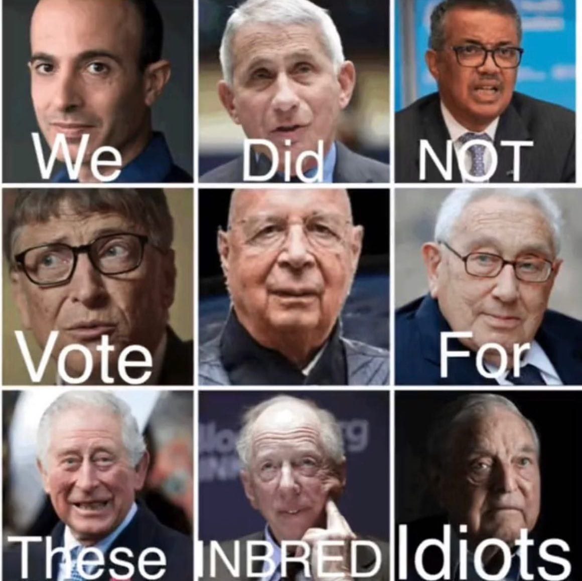 A derrota dos globalistas do Fórum Econômico Mundial e do Império Britânico. 9