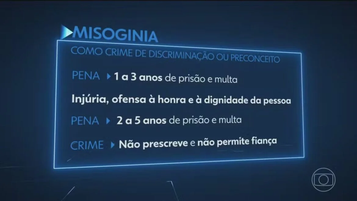 A Lei da Misoginia da esquerda vai prejudicar as mulheres, e não "protegê-las". 1