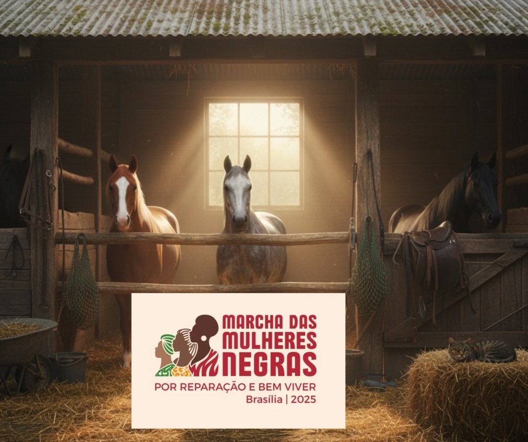 A Lei da Misoginia da esquerda vai prejudicar as mulheres, e não "protegê-las". 9