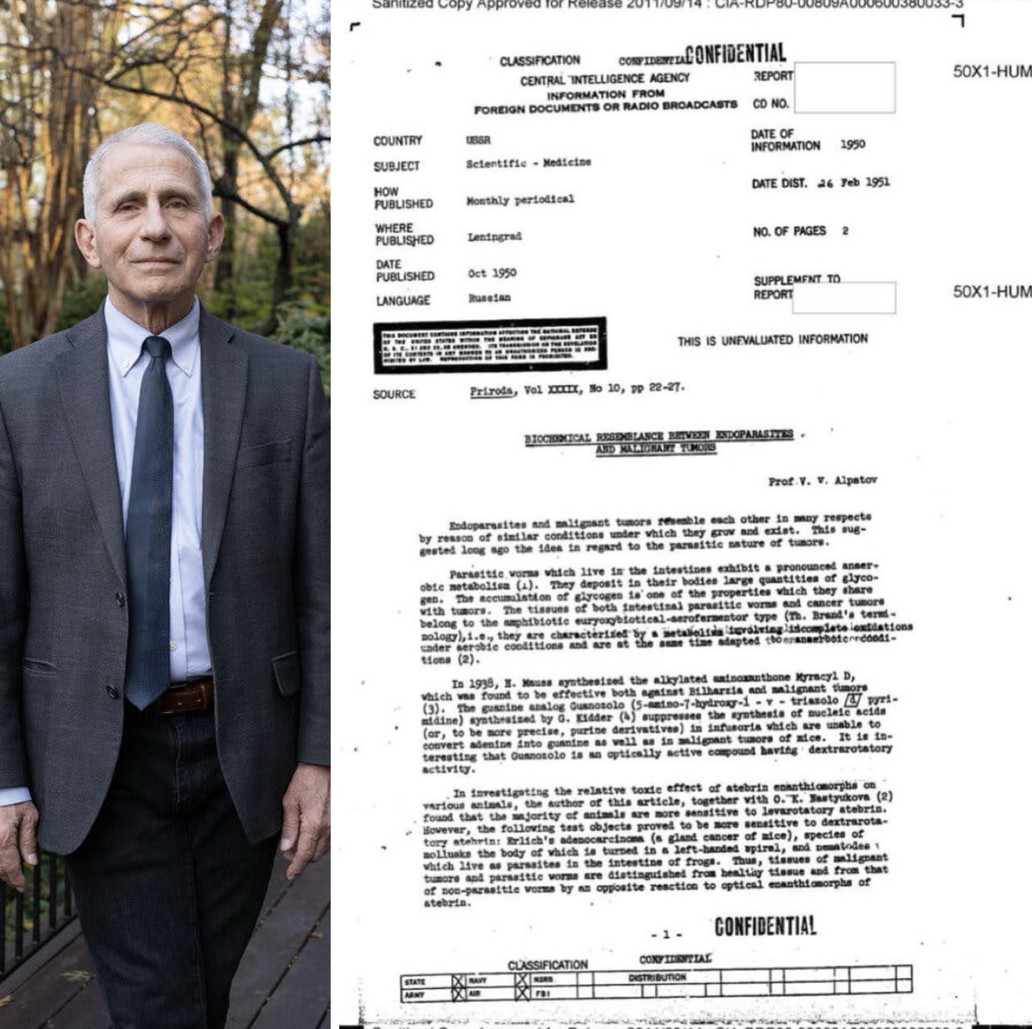 Documento censurado pela CIA mostra que parasitas e câncer têm estruturas biológicas semelhantes. 1