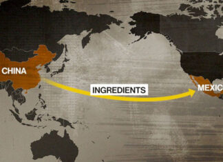 A China e os cartéis mataram 1 milhão de americanos. Por isso Trump está revidando.
