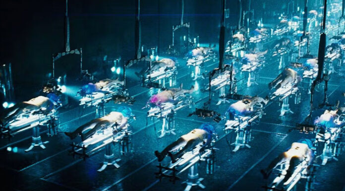 Jeffrey Epstein financiou pesquisas de clonagem humana e transumanismo.