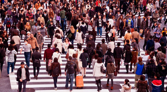 Os humanos são uma raça secundária que se originou de uma raça primária extraterrestre!