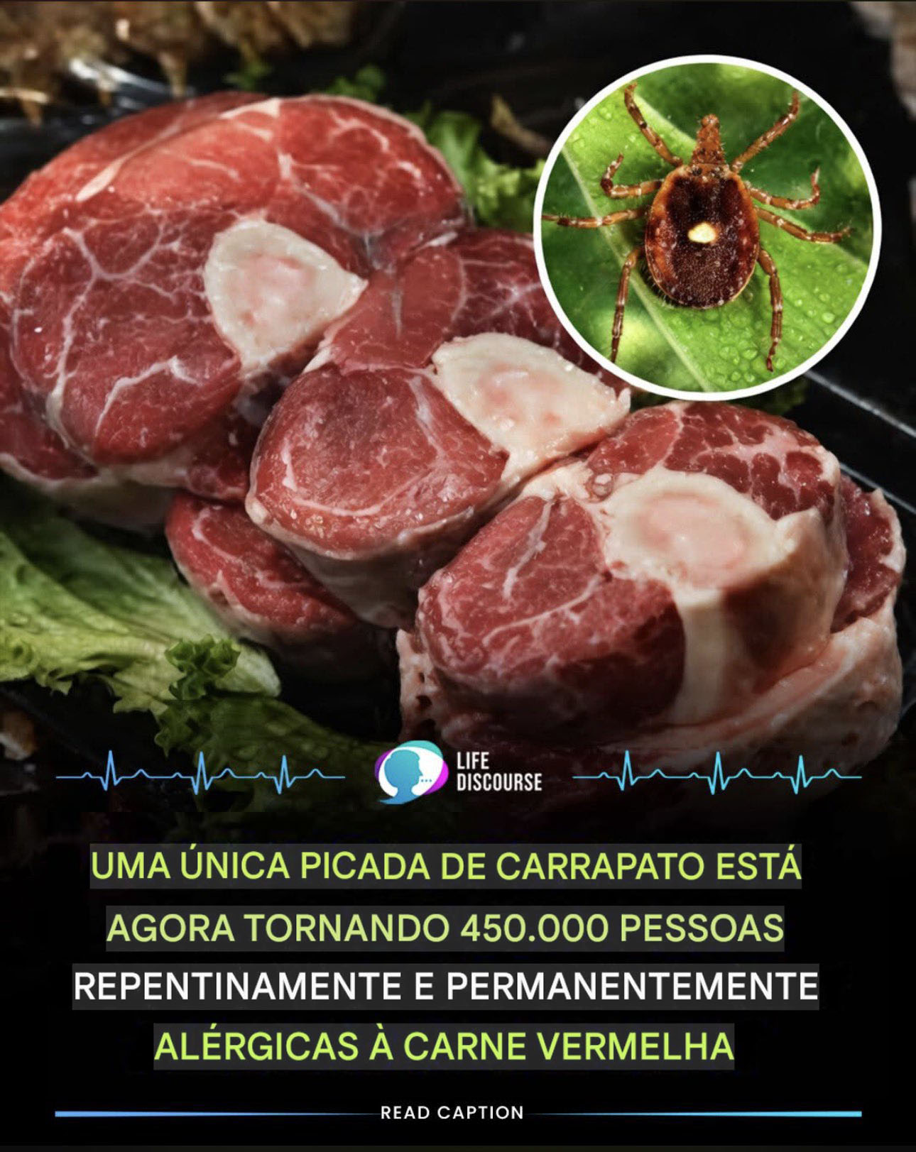 Milhares de americanos desenvolveram alergia à carne vermelha depois de picados por carrapatos modificados geneticamente.  1