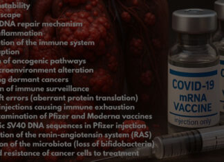 As vacinas “seguras e eficazes” do COVID-19 aumentam o risco de 7 tipos principais de câncer.