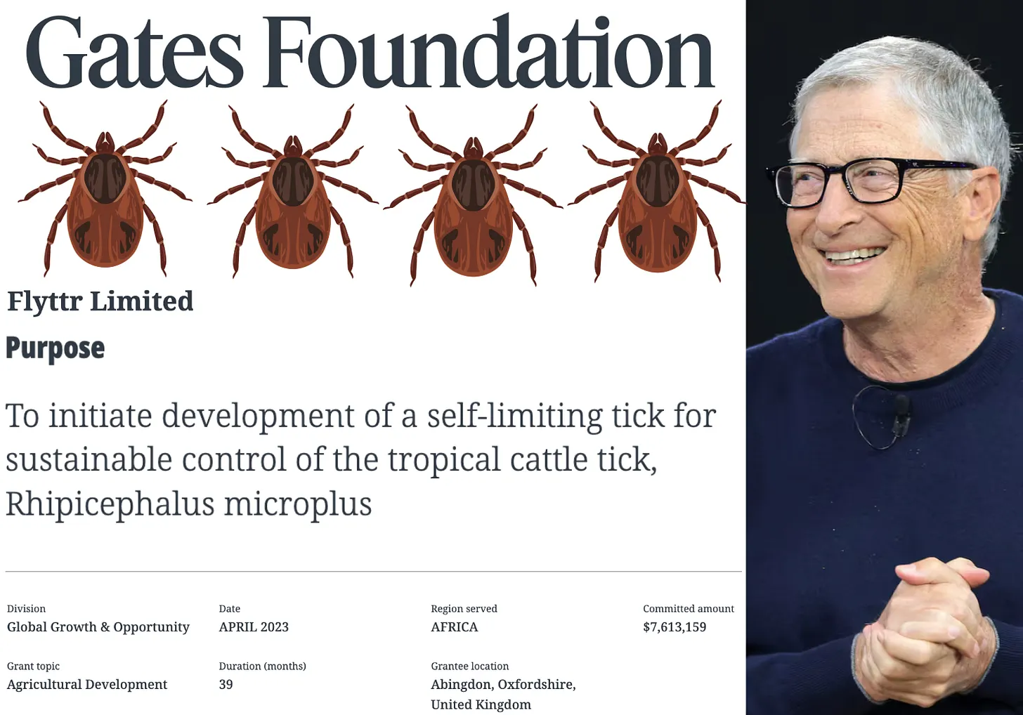 Bill Gates financiou pesquisas sobre carrapatos geneticamente modificados para o gado — agora 450 mil americanos têm alergia à carne vermelha devido à "Síndrome Alfa-Gal", causada por picadas de carrapato. 1