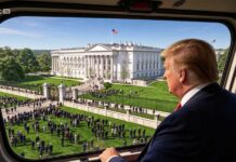Com o novo Salão de Baile da Casa Branca, Trump interrompe a malha energética de Washington que alimenta a City de Londres.
