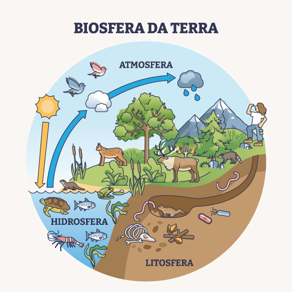 Como é uma gigantesca nave biosfera por dentro? 2